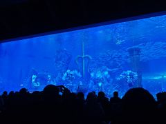 -哈尔滨波塞冬海底世界