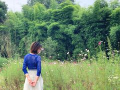 -远山有窑