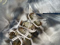 -阳澄湖大闸蟹·琼灵阁牌品牌连锁(吴中总店)