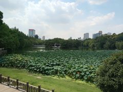 -浮庄