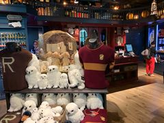 -九又四分之三站台哈利波特商店