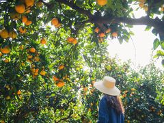 -滨江森林公园-真人CS野战场