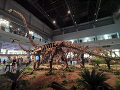 -自贡恐龙博物馆