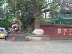 -峨眉山报国寺