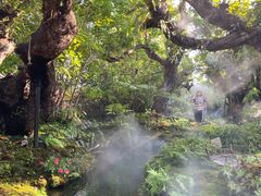 -Chom Cafe and Restaurant