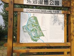 -东郊湿地公园