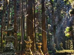 -上色见熊野座神社
