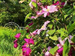 -国家植物园南园