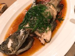 -深圳湾木棉花酒店