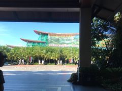 -呀诺达热带雨林