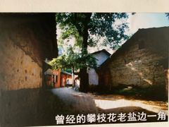 -攀枝花野菜铜火锅(万科凯德店)