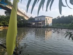 -麦园农庄·西江河鲜