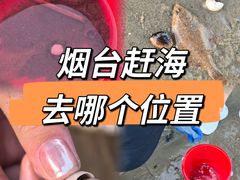 -黄海明珠