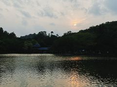 -番禺大夫山森林公园