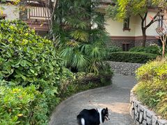 -南通鹏欣花园国宾酒店