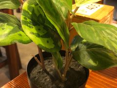 -火齐潮汕砂锅粥(五道口店)