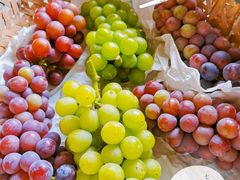 -马陆小张葡萄园农家乐