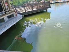 -西安曲江寒窑遗址公园