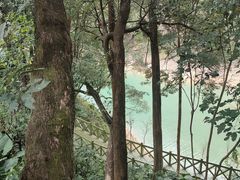 -广州市流溪河国家森林公园
