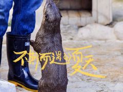 -上海野生动物园