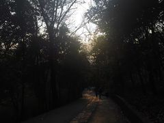 -紫金山山顶公园