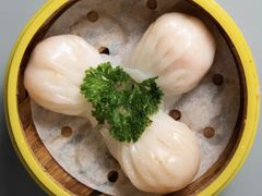 -东方早茶 海鲜•青岛菜(国信体育中心店)