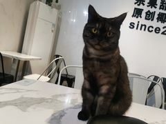 -乐果甜心·潮汕冰室(南澳后宅分店)
