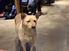 -Cactus墨西哥仙人掌餐厅