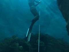 -苏州海洋馆