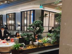 -谭厨中山传家菜.乳鸽.脆鲩鱼(华强北中航城店)