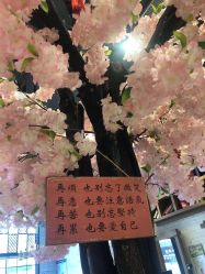 -简影造型·自选烫染接发salon