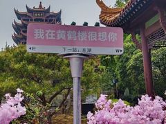 -黄鹤楼公园(黄鹤楼)