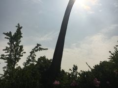 -自然谷恐龙园