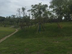 -上海海事大学(临港校区)