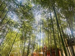 -绩溪龙川景区
