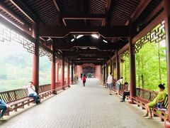-重庆彩云湖湿地公园