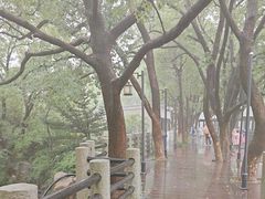-白马涧龙池景区
