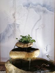 -溢美古法抗衰