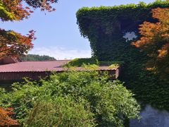 -中国茶叶博物馆(双峰馆区)