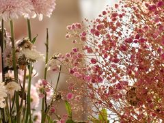 -春暖花开(西溪店)