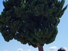 -青岛第一海水浴场