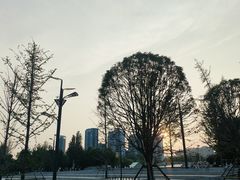 -咸阳湖景区-统一广场