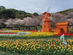 -苏州上方山国家森林公园