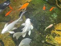 -太平洋海底世界