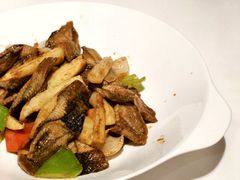-鹿园 MOOSE(长宁店)