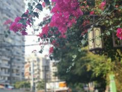 -铁路文化公园