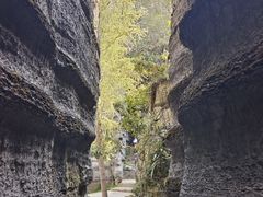 -梭布垭石林景区