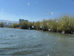 -洱海月湿地公园