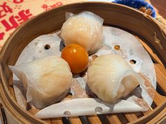 -点都德·毕德寮