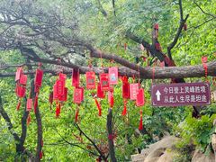 -天津盘山风景名胜区